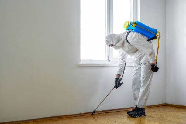 Best Organic or Eco-Friendly Pest Control  in Hanover, PA